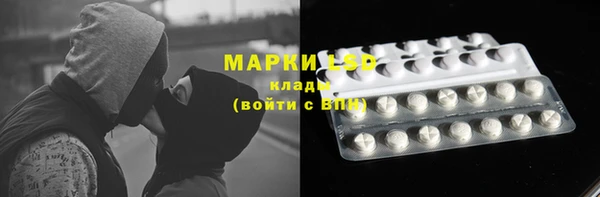 ГАЛЛЮЦИНОГЕННЫЕ ГРИБЫ Горнозаводск