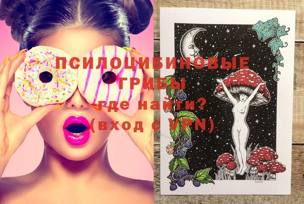 молекула духа Горно-Алтайск