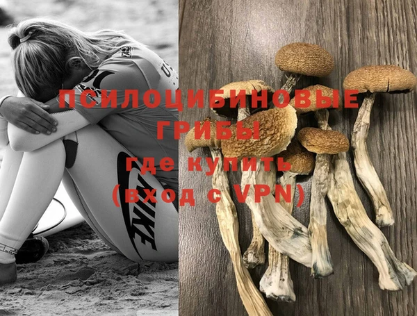 молекула духа Горно-Алтайск