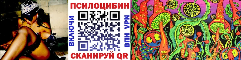 Купить где  Радужный  Галлюциногенные грибы Cubensis 